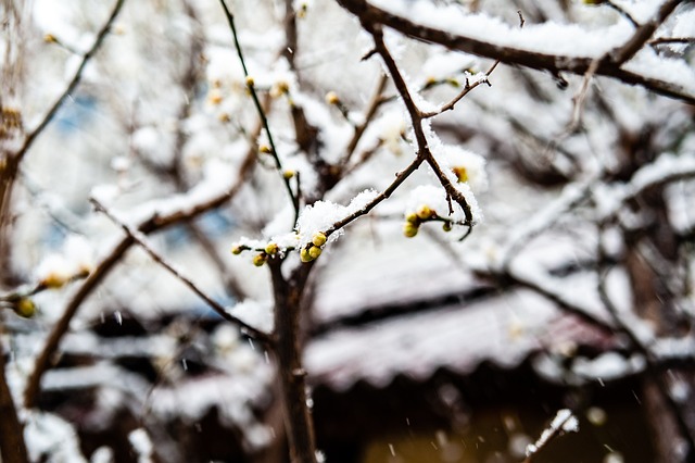 那就是