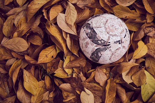 UEFA